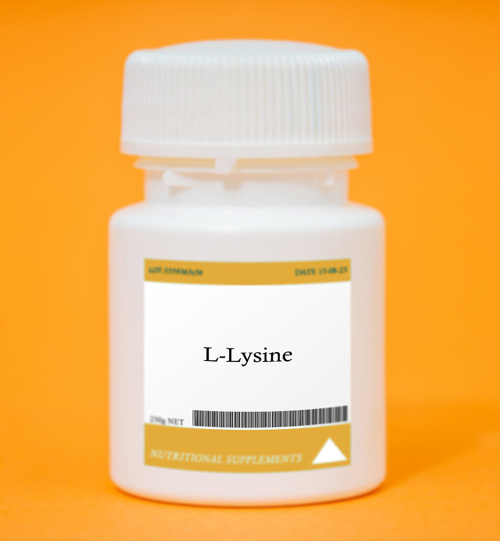 Container of L-lysine