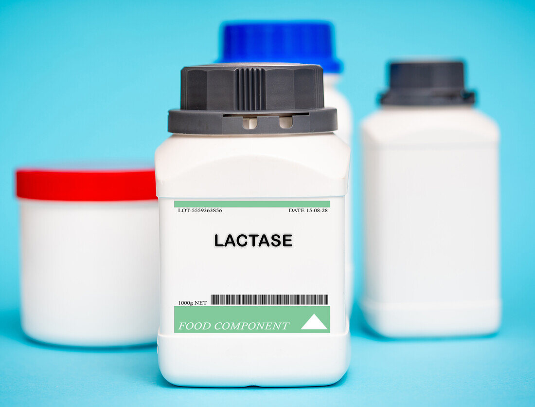 Container of lactase