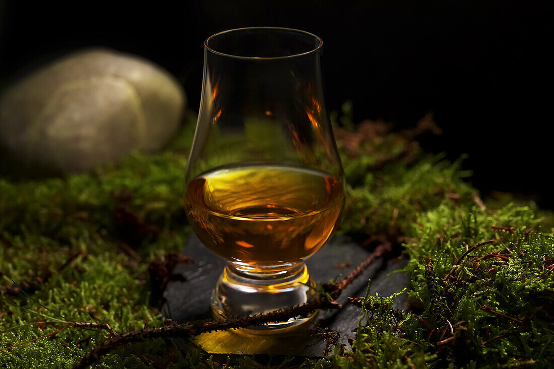 Traditionelles schottisches Glencairn-Whiskyglas auf Moos