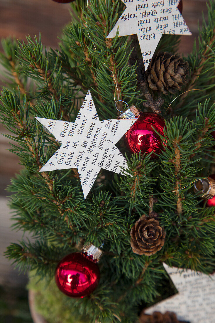 Weihnachtlich dekorierter Minibaum mit Papiersternen und roten Kugeln