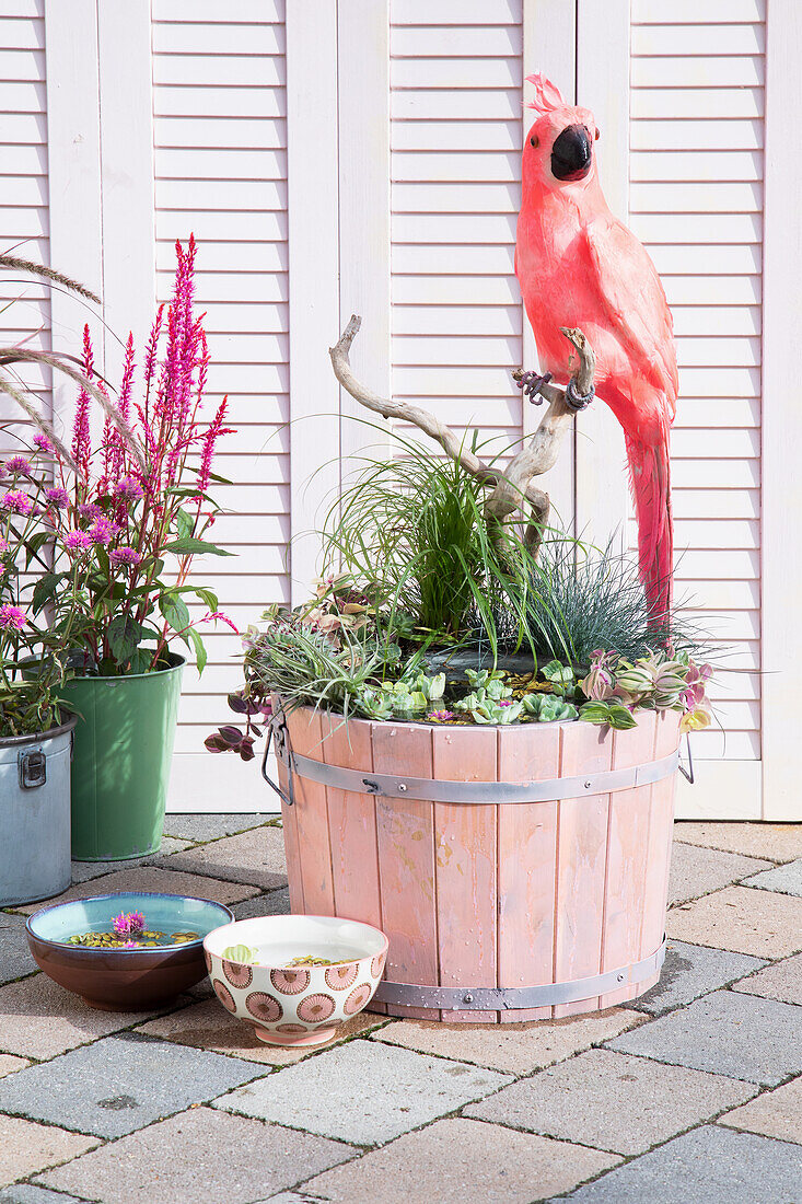 Miniteich mit Pflanzen und dekorativem Vogel auf der Terrasse