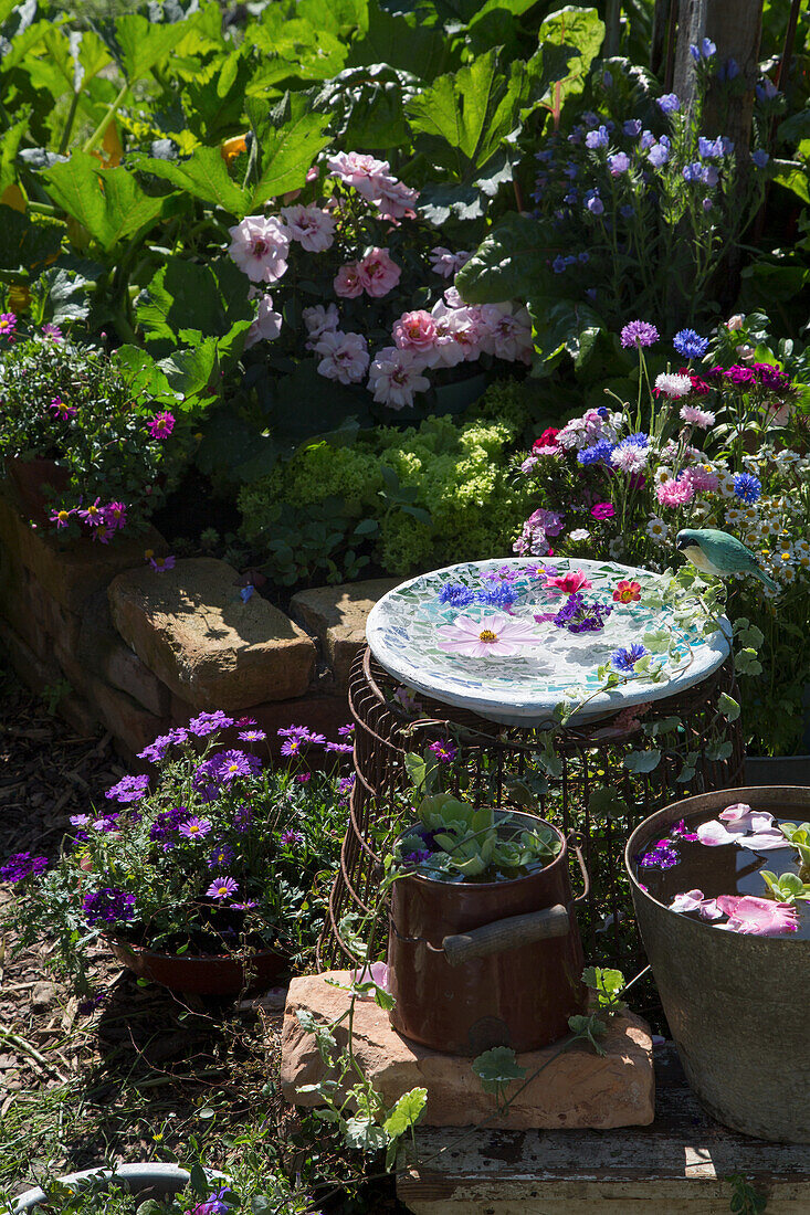Idyllischer Miniteich auf einer dekorativen Platte im sommerlichen Garten