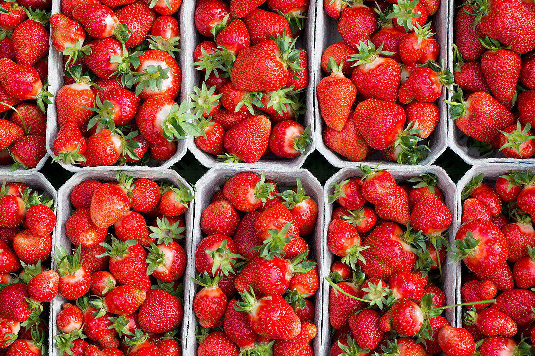 Fresh strawberries at the market
