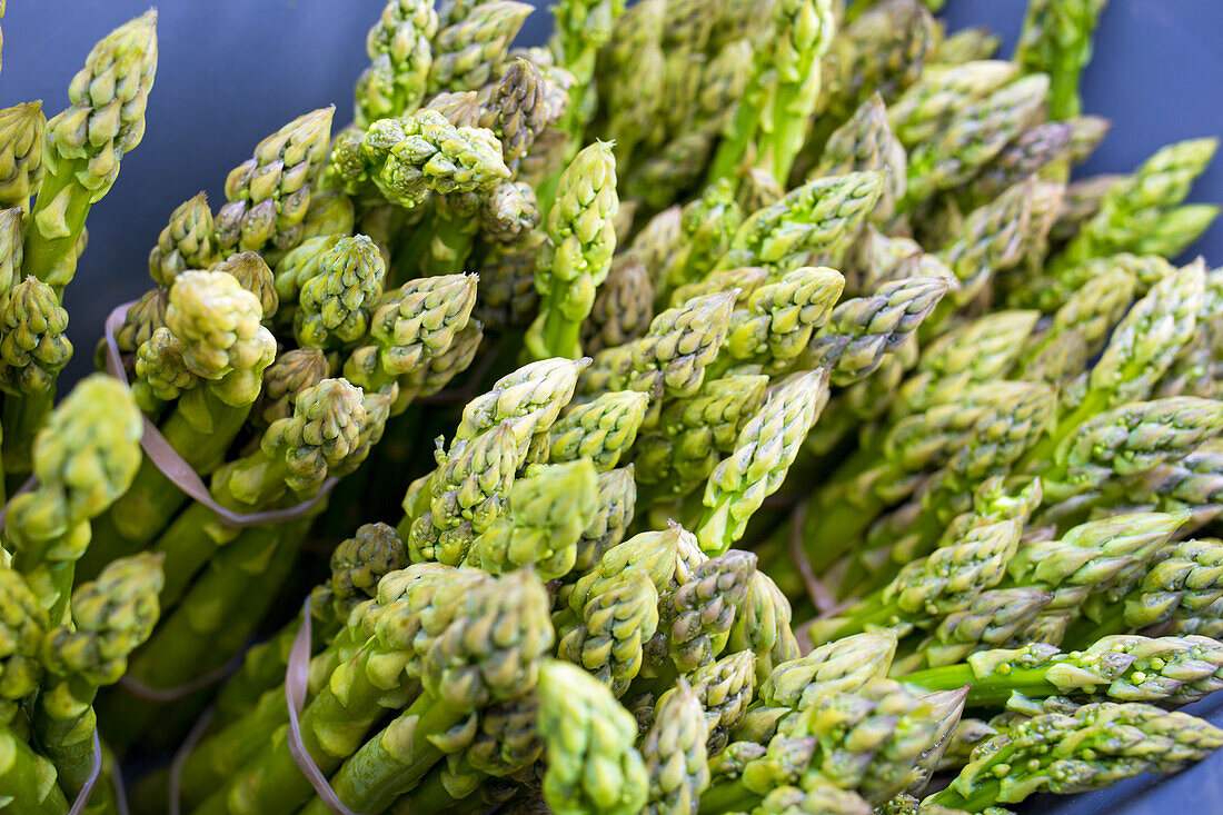 Fresh green asparagus at the market