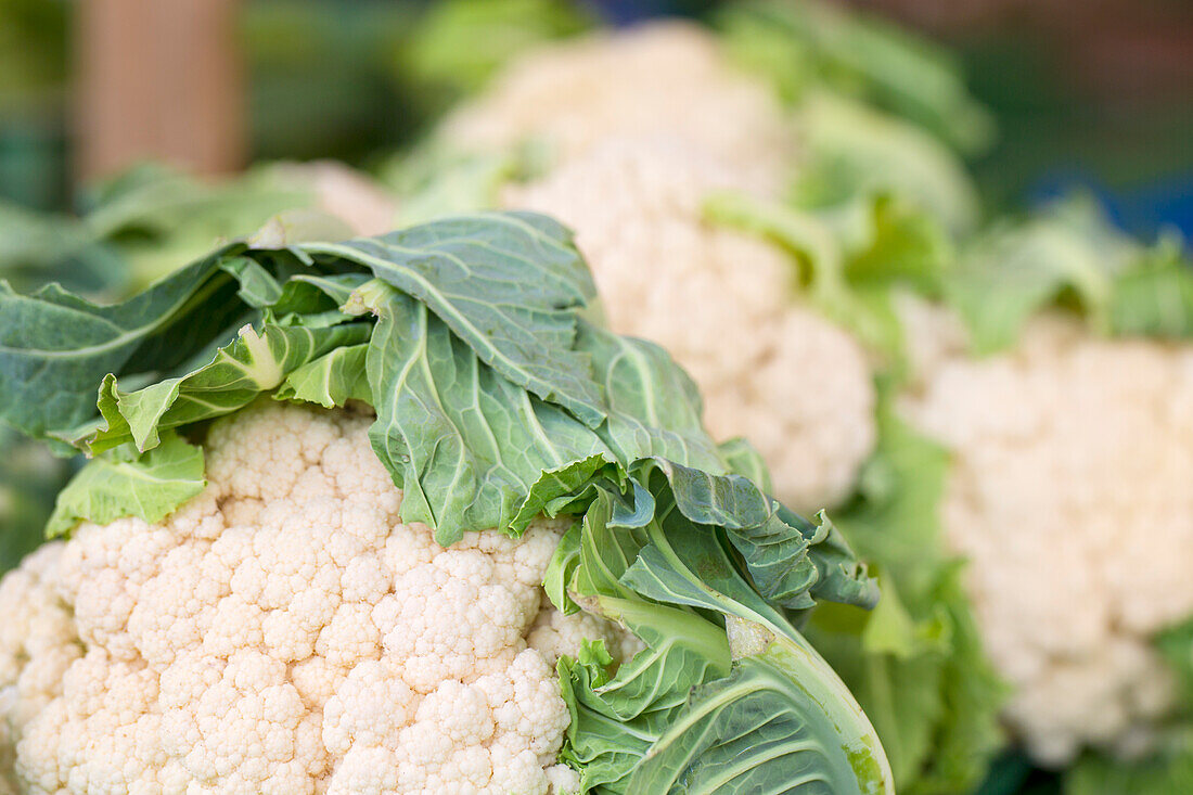 Fresh cauliflower at the market