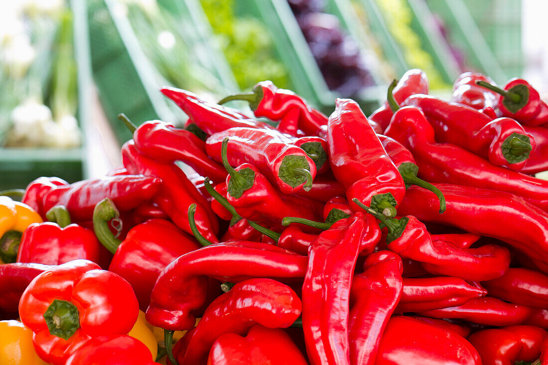Rote Peperoni auf dem Markt