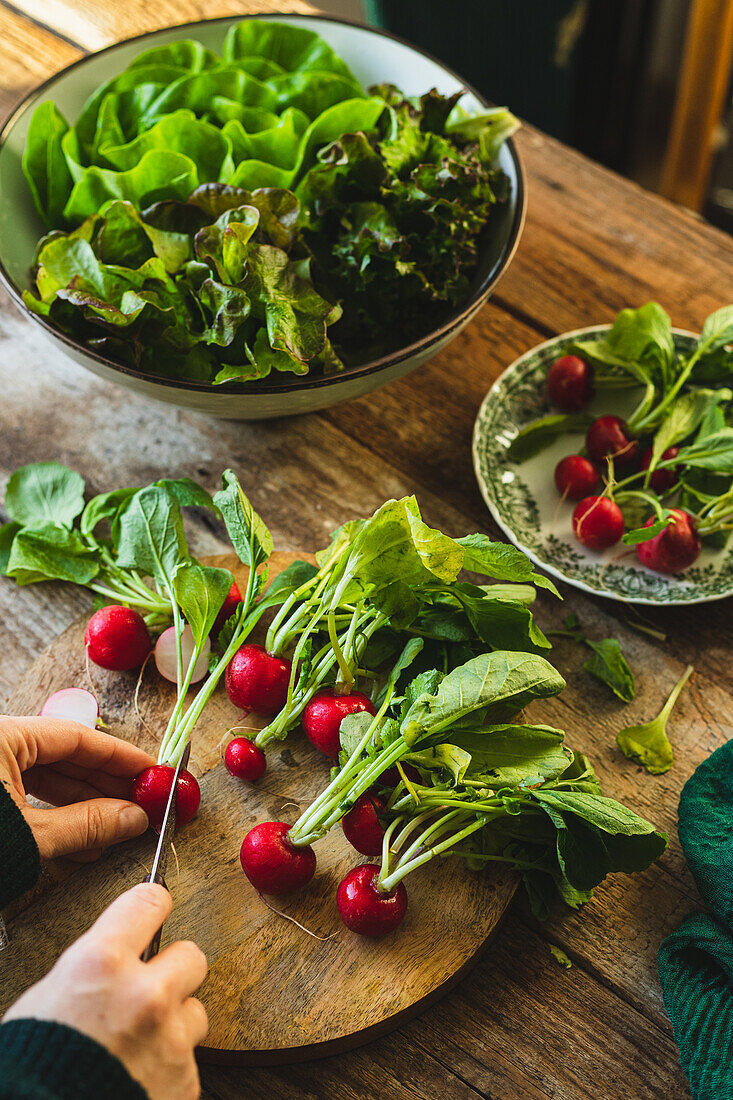 Prepare fresh lettuce and radishes