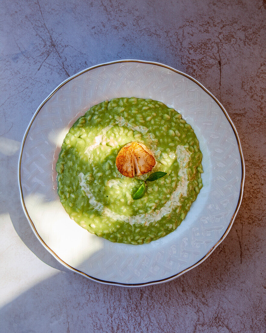 Green risotto with scallops