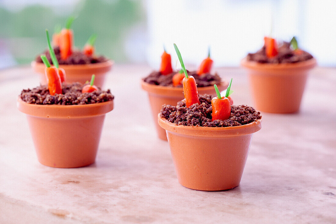 Carrot cake in a 'flower pot'