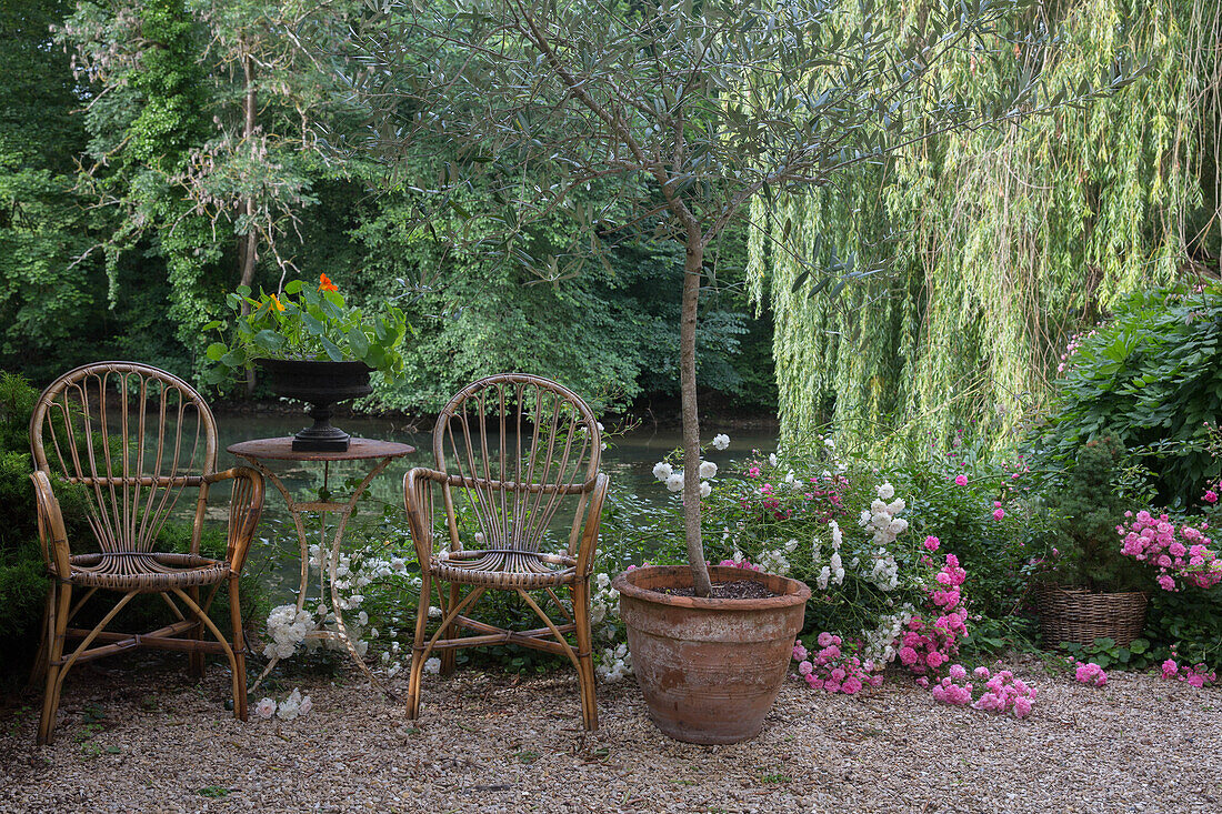 Sitzbereich im Garten mit Rattanstühlen und Blumentöpfen