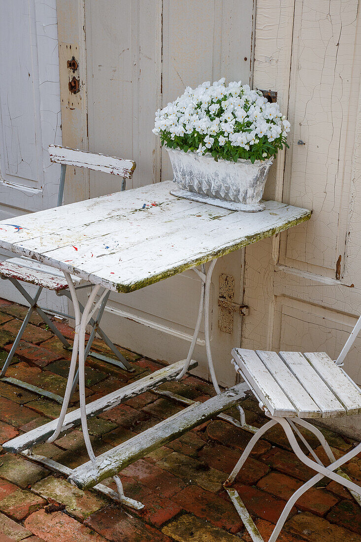 Garden table with white chairs in shabby chic look and petunias (Petunia) in white pot