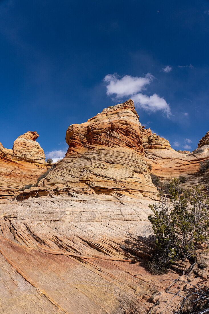Mond über erodierten Navajo-Sandsteinfelsen bei South Coyote Buttes, Vermilion Cliffs National Monument, Arizona