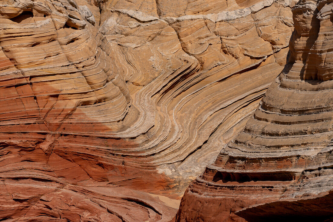 Erodierte Navajo-Sandsteinformation in der White Pocket Recreation Area, Vermilion Cliffs National Monument, Arizona