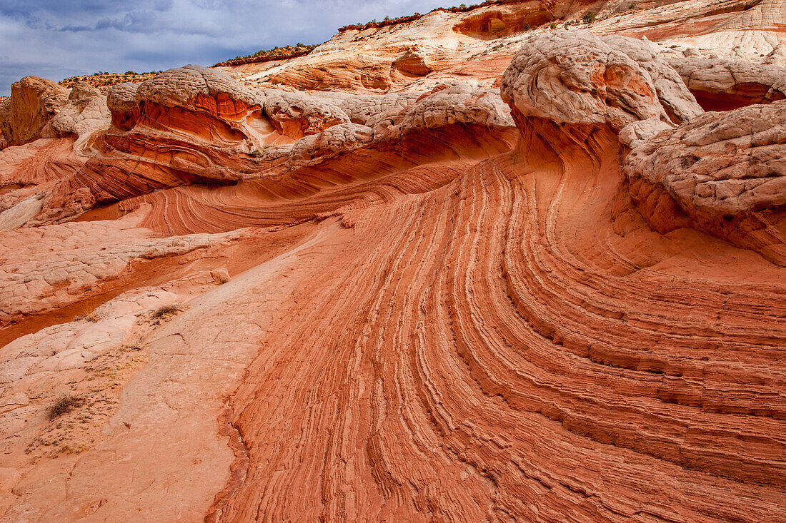 Wirbelnde Streifen im Navajo-Sandstein. White Pocket Recreation Area, Vermilion Cliffs National Monument, Arizona. Hier wird die plastische Verformung gezeigt