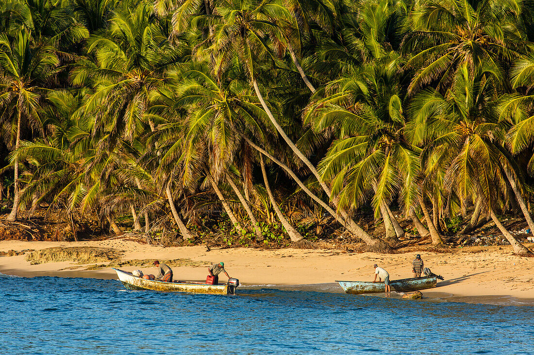 Vier Fischer bereiten sich darauf vor, ihre Boote am frühen Morgen in der Bucht von Samana in der Nähe von Samana, Dominikanische Republik, zu Wasser zu lassen. Palmen säumen das Ufer