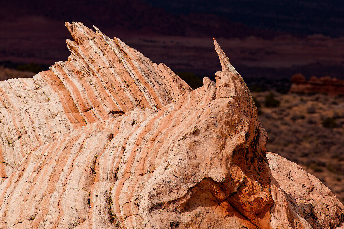 Eroded Navajo sandstone formation in the White Pocket Recreation Area, Vermilion Cliffs National Monument, Arizona.