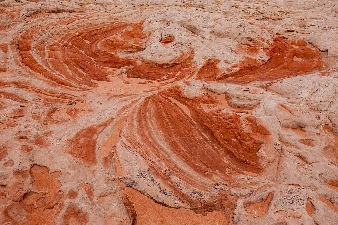 Eroded Navajo sandstone formations in the White Pocket Recreation Area, Vermilion Cliffs National Monument, Arizona.