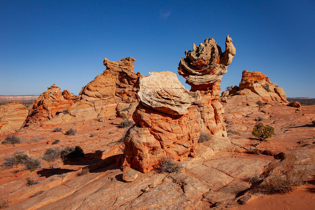 Die Olympische Fackel, ein Navajo-Sandstein-Hoodoo in South Coyote Buttes, Vermilion Cliffs National Monument, Arizona