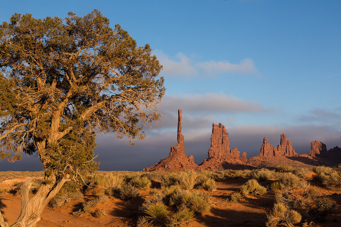 Der Totempfahl und der Yei Bi Chei im Monument Valley Navajo Tribal Park in Arizona. Im Vordergrund steht ein Utah-Wacholderbaum