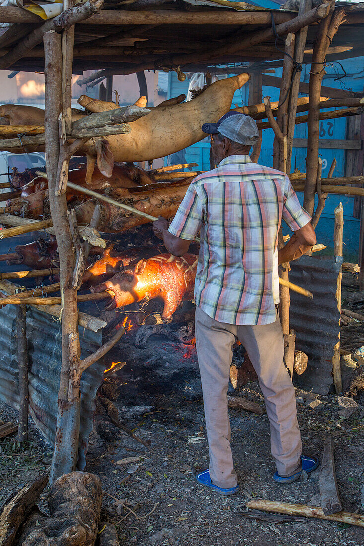 Roasting whole pigs outside on wooden spits over an open wood fire by a roadside in Haina, Dominican Republic.