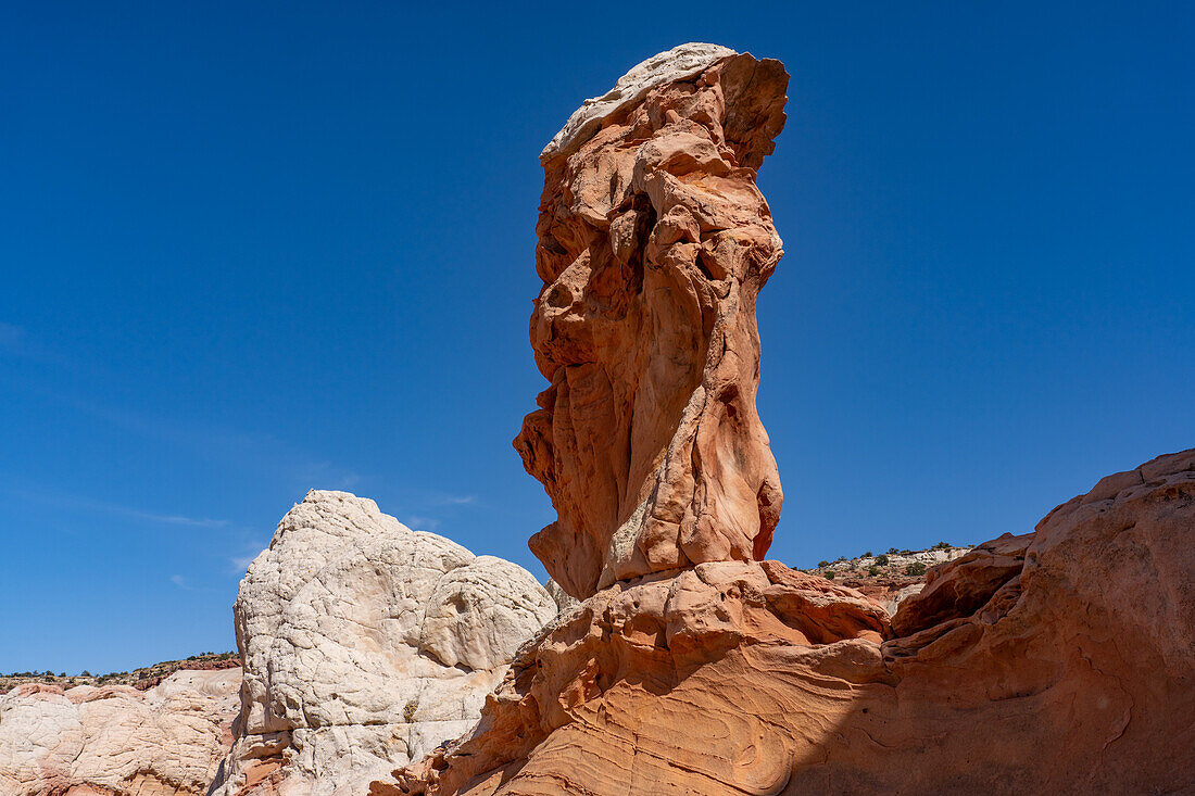 A sandstone hoodoo rock formation in the White Pocket Recreation Area, Vermilion Cliffs National Monument, Arizona.