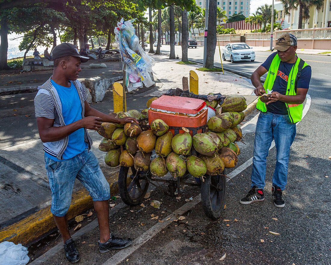 Ein junger haitianischer Einwanderer verkauft frische Kokosnüsse von seinem Wagen aus an einer belebten Straße in Santo Domingo, Dominikanische Republik
