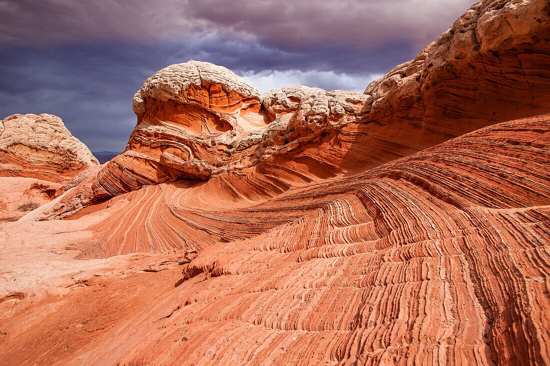 Stürmische Wolken über bunten erodierten Sandsteinformationen. White Pocket Recreation Area, Vermilion Cliffs National Monument, Arizona