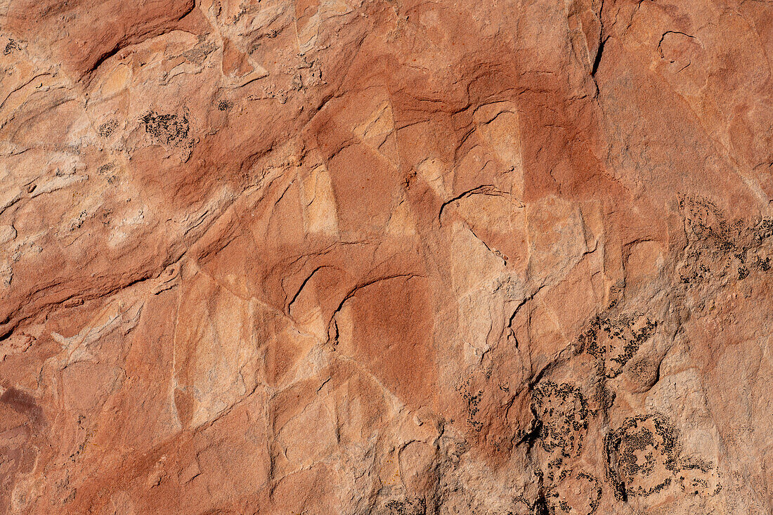 Erodierte Navajo-Sandsteinformationen in der White Pocket Recreation Area, Vermilion Cliffs National Monument, Arizona