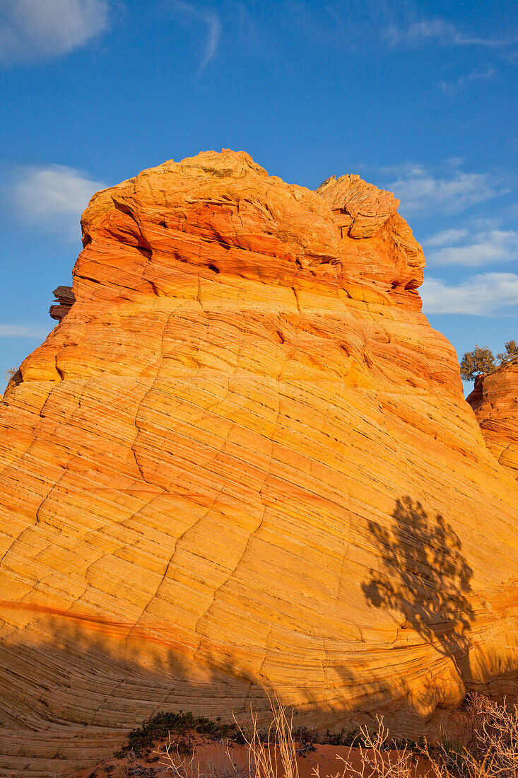 Sonnenuntergangslicht auf erodierten Navajo-Sandsteinformationen in den South Coyote Buttes, Vermilion Cliffs National Monument, Arizona