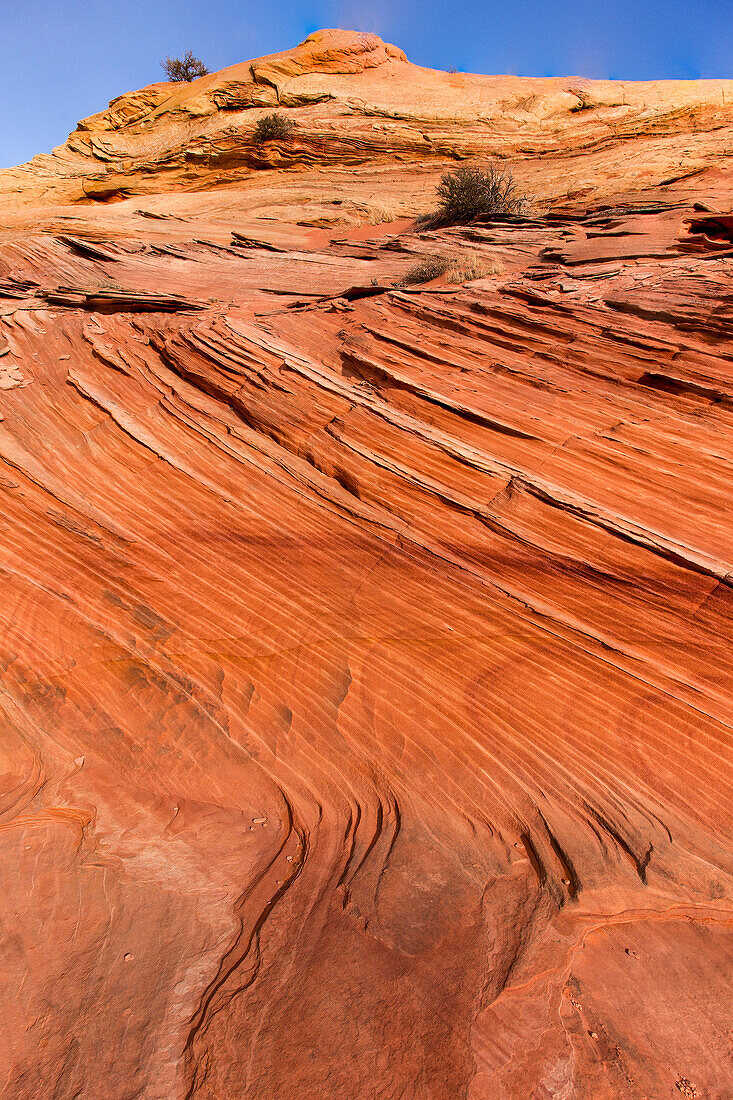 Gestreifte Muster und Querschichten in Navajo-Sandsteinformationen. South Coyote Buttes, Vermilion Cliffs National Monument, Arizona