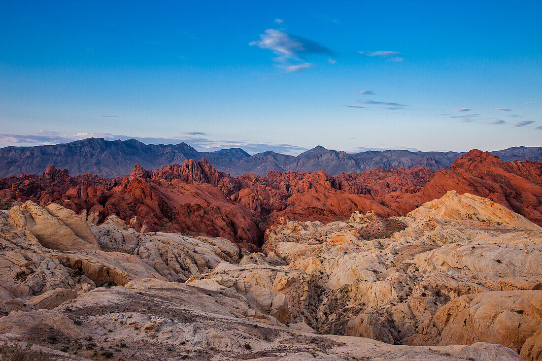Roter und weißer aztekischer Sandstein im Fire Canyon vor Sonnenaufgang im Valley of Fire State Park in Nevada. Der weiße Sandstein wird Silica Dome genannt. Seine Sandkristalle bestehen aus fast reinem Siliziumdioxid.