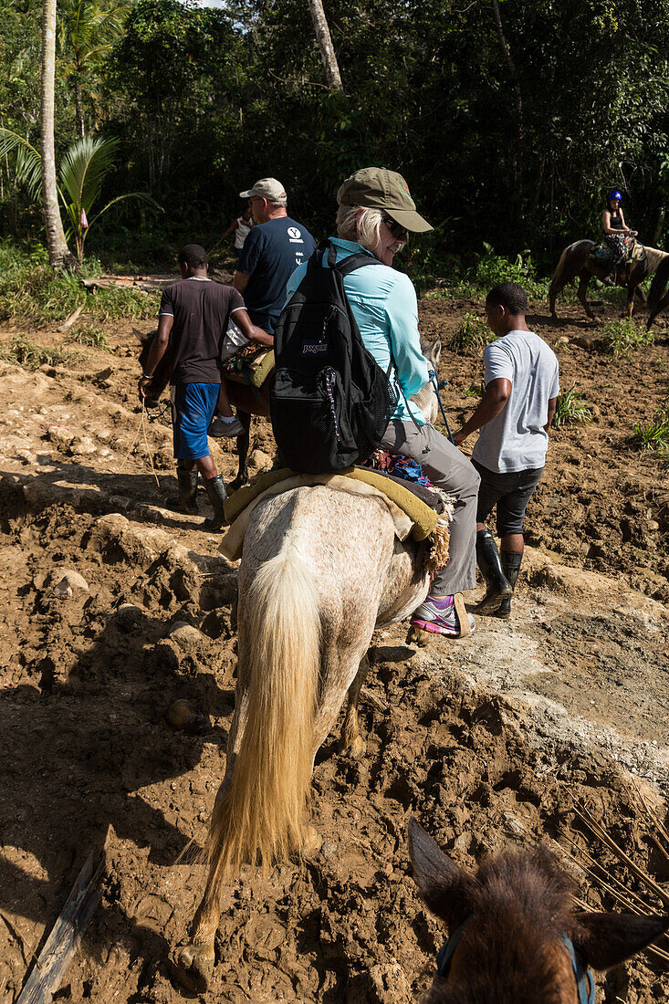Touristen auf Pferden bei einem Ausritt durch den Regenwald auf der Halbinsel Samana, Dominikanische Republik