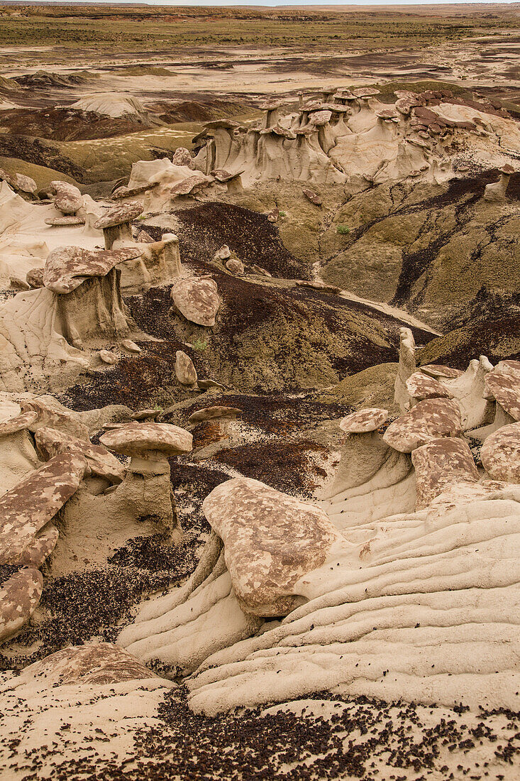 Bizarre Landschaft aus erodierten Lehmhügeln in den Badlands des San Juan Basin in New Mexico