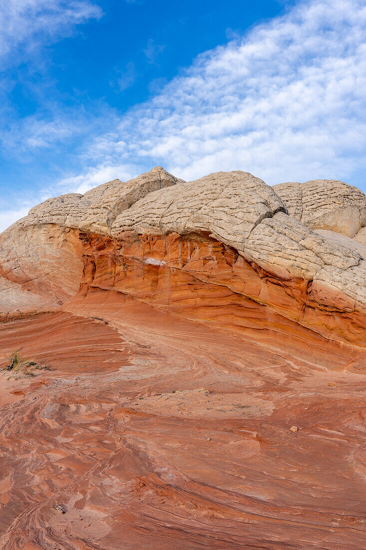 Eroded white pillow rock or brain rock sandstone in the White Pocket Recreation Area, Vermilion Cliffs National Monument, Arizona. Both the red and white are Navajo sandstone but the red has more iron oxide in it.