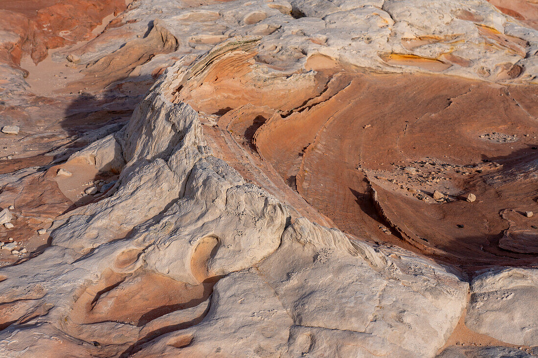 Plastische Verformung und Verdichtungsbänder im Navajo-Sandstein. White Pocket Recreation Area, Vermilion Cliffs National Monument, Arizona