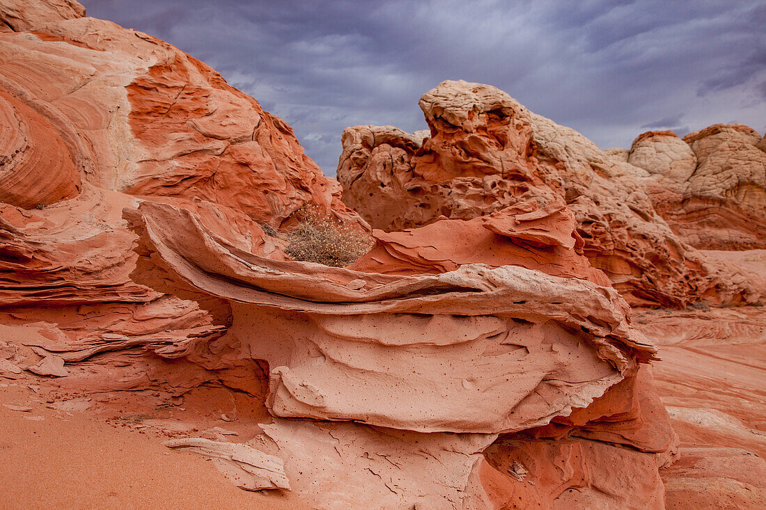 Farbenfrohe erodierte Navajo-Sandstein-Formationen. White Pocket Recreation Area, Vermilion Cliffs National Monument, Arizona