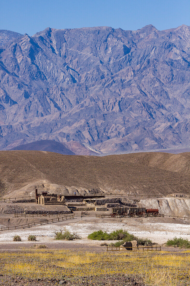 Ruins of the historic Harmony borax processing plant at Furnace Creek in Death Valley National Park in California. Wildflowers are blooming in the foreground.