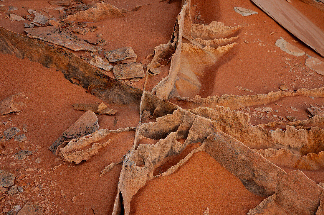 Sehr dünne, zerbrechliche Sandsteinrippen in Navajo-Sandsteinformationen. South Coyote Buttes, Vermilion Cliffs National Monument, Arizona. Geologisch gesehen werden diese Rippen als Verdichtungsbänder bezeichnet.