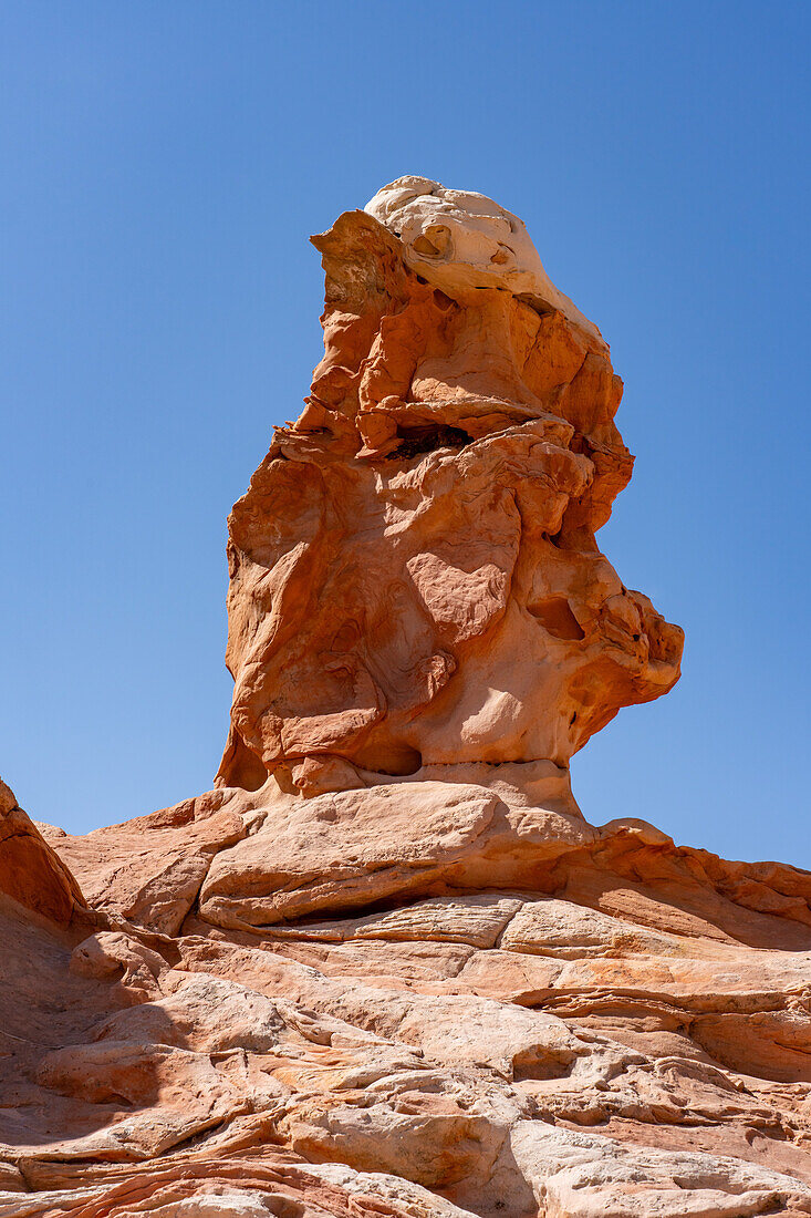 A sandstone hoodoo rock formation in the White Pocket Recreation Area, Vermilion Cliffs National Monument, Arizona.