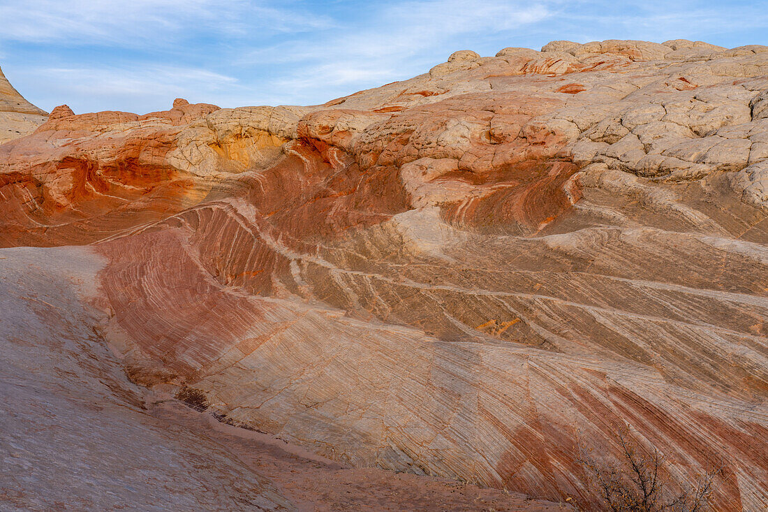 Erodierter Navajo-Sandstein in der White Pocket Recreation Area, Vermilion Cliffs National Monument, Arizona. Das Bild zeigt ein gutes Beispiel für die Querschichtung in den Sandsteinschichten.