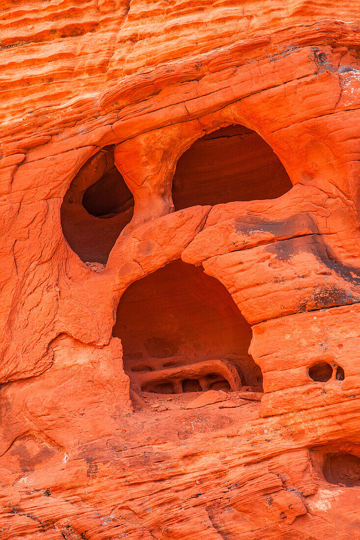 Tafoni or rock lace erosion patterns mimicking "The Scream" in the eroded Aztec sandstone of Valley of Fire State Park in Nevada.