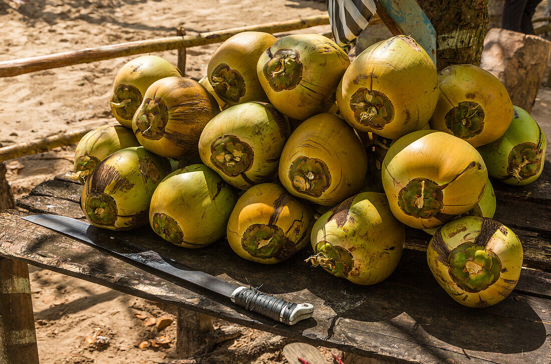 Grüne Kokosnüsse zum Verkauf für Kokosmilch an einem Stand am Rincon Beach auf der Halbinsel Samana, Dominikanische Republik