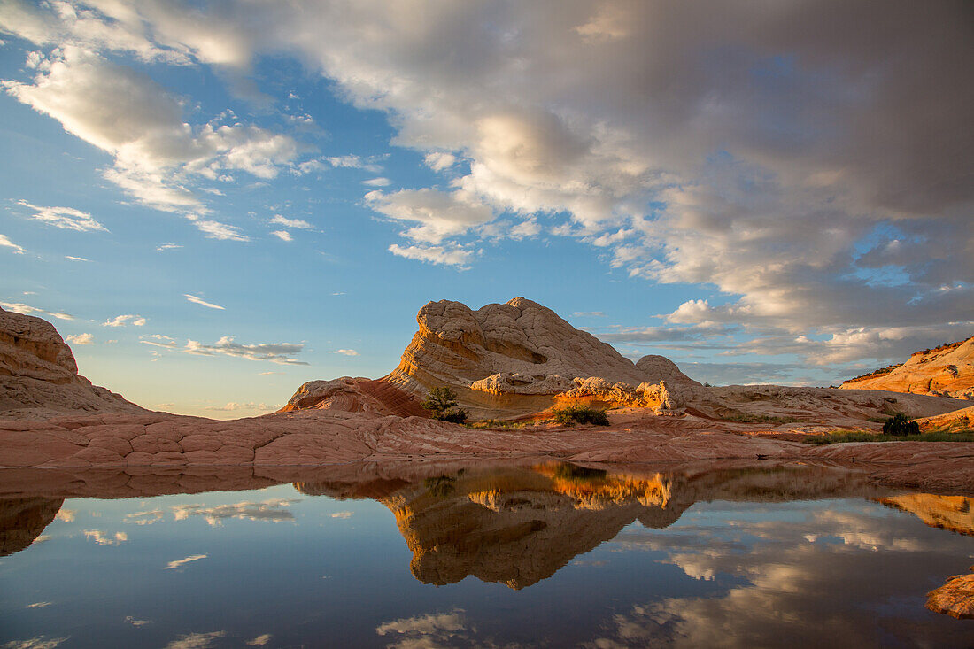 Lollipop Rock spiegelt sich in einem flüchtigen Pool in der White Pocket, Vermilion Cliffs National Monument, Arizona