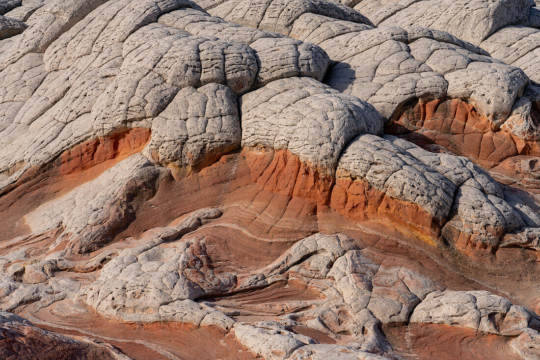 Rote Stipes in Navajo-Sandstein-Hirngestein. White Pocket Recreation Area, Vermilion Cliffs National Monument, Arizona