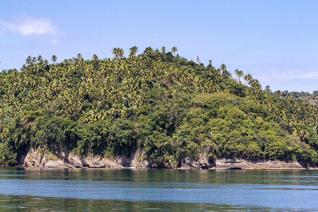 Kalksteinfelsen und Palmenhaine an der Küste der Bucht von Samana in der Dominikanischen Republik