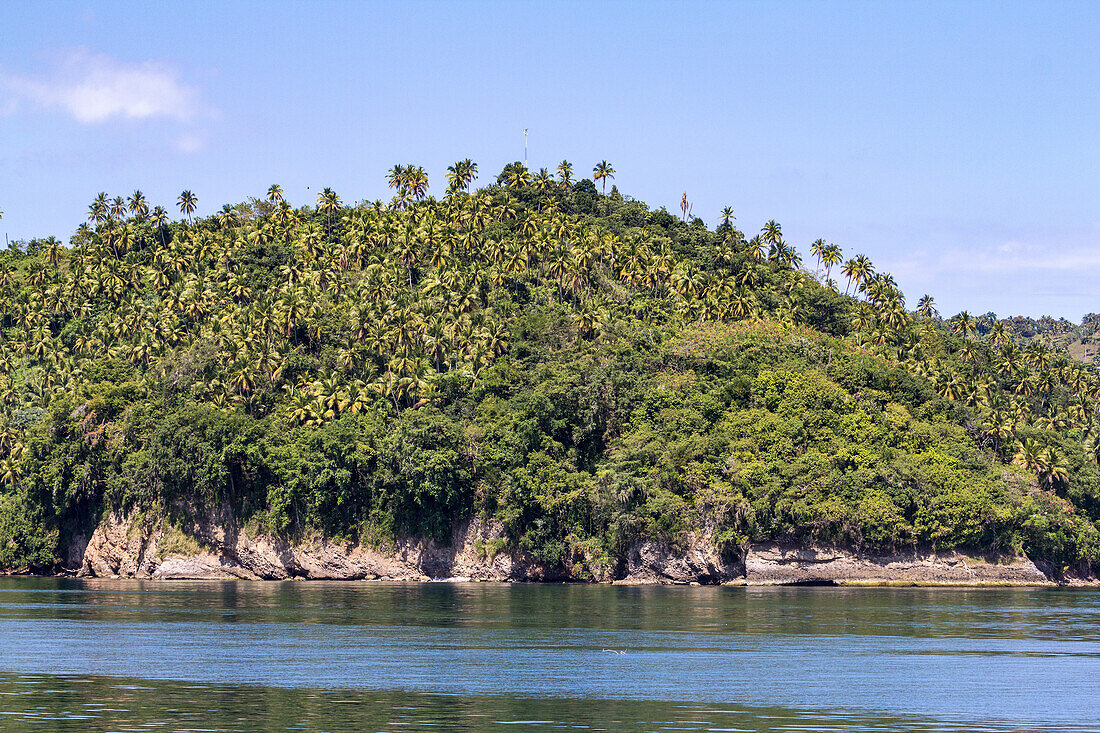 Limestone cliffs & palm groves on the shore of the Bay of Samana in the Dominican Republic.
