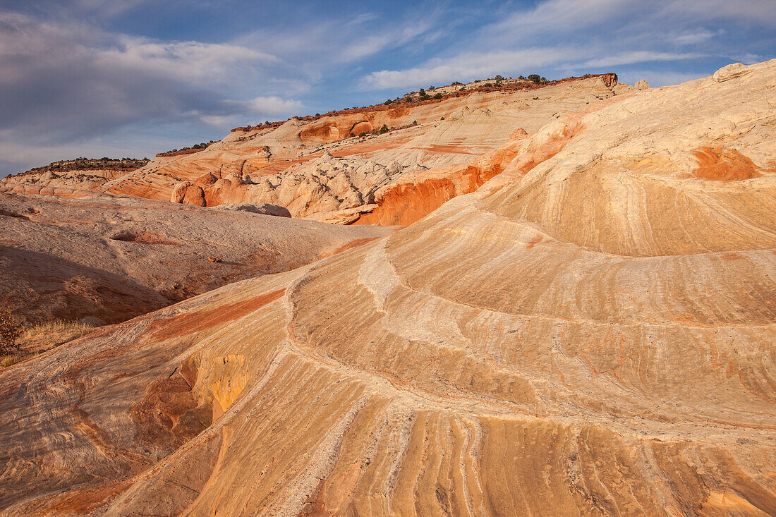 Eroded Navajo sandstone formations in the White Pocket Recreation Area, Vermilion Cliffs National Monument, Arizona.