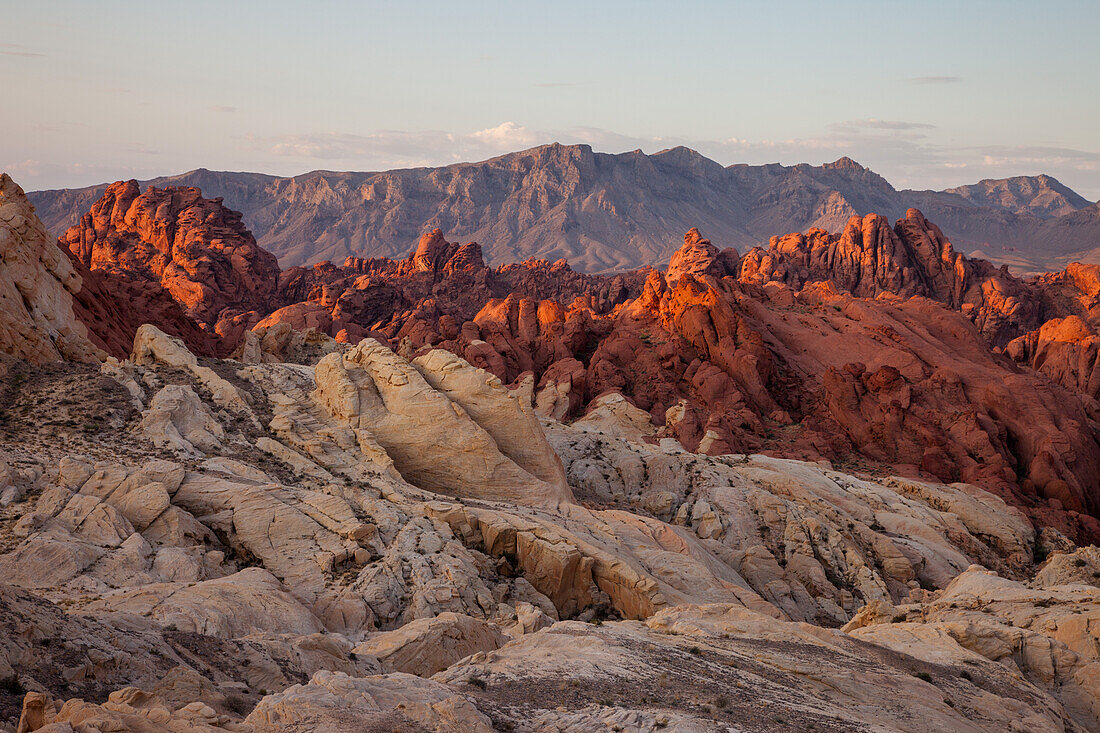 Red and white Aztec sandstone in Fire Canyon at sunrise in Valley of Fire State Park in Nevada. The white sandstone is called the Silica Dome. Its sand crystals are almost pure silica.