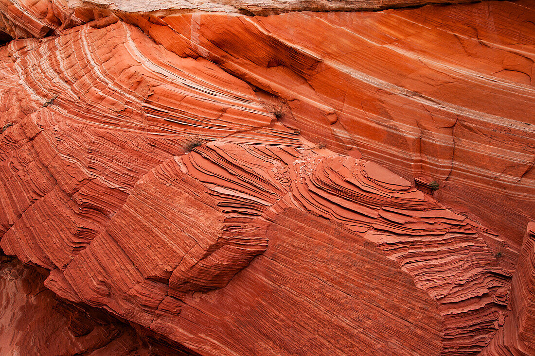 Eroded Navajo sandstone formations in the White Pocket Recreation Area, Vermilion Cliffs National Monument, Arizona. Cross-bedding is shown here.