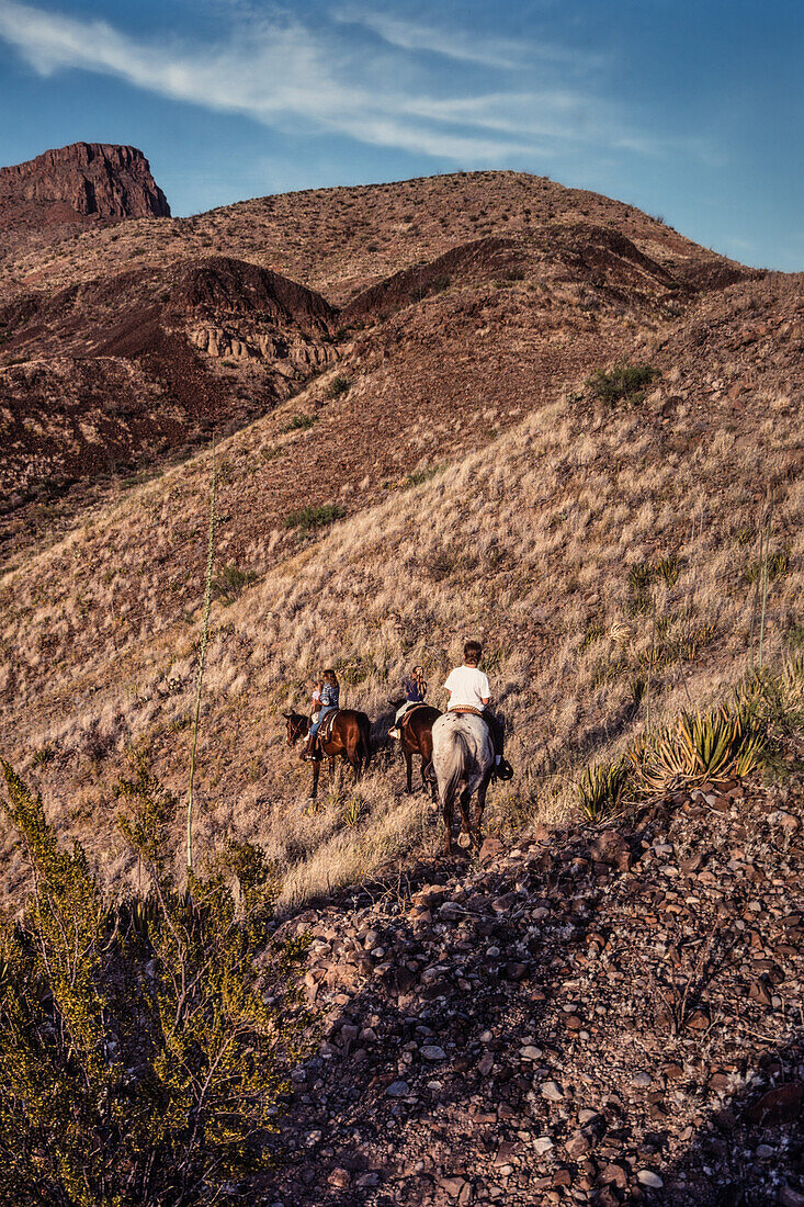 Young children on a horseback trail ride through the Chihuahuan Desert of Big Bend National Park in Texas.